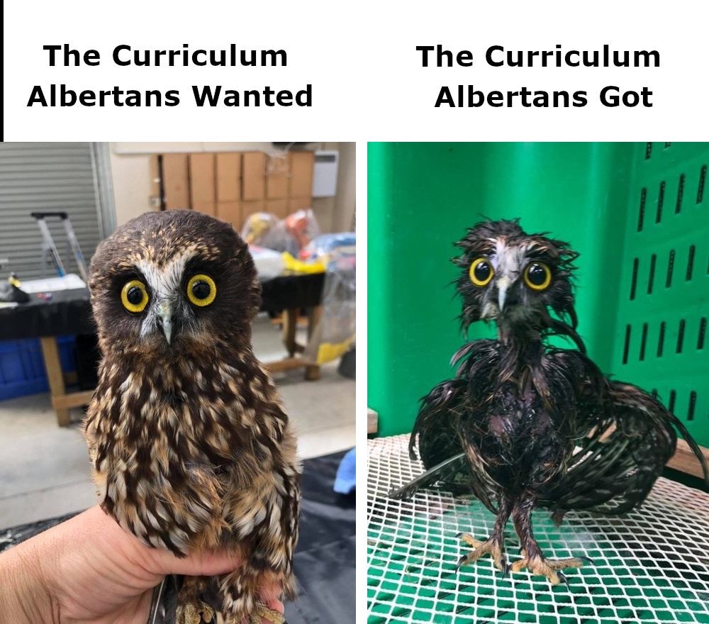 Curriculum we wanted (Owl) vs Curriculum we got (Frazzled owl)